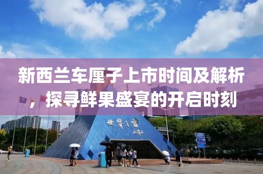 新西兰车厘子上市时间及解析，探寻鲜果盛宴的开启时刻
