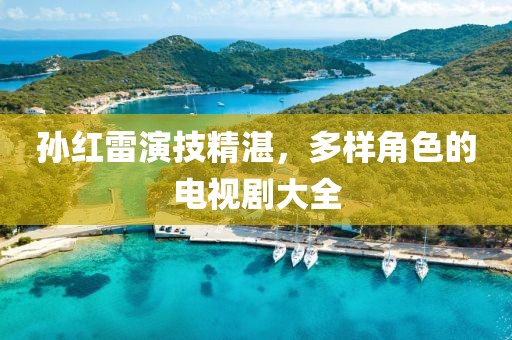 孙红雷演技精湛，多样角色的电视剧大全