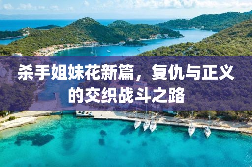杀手姐妹花新篇，复仇与正义的交织战斗之路