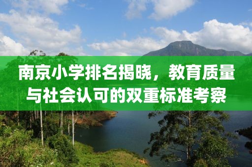 南京小学排名揭晓，教育质量与社会认可的双重标准考察