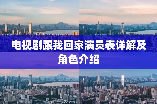 电视剧跟我回家演员表详解及角色介绍