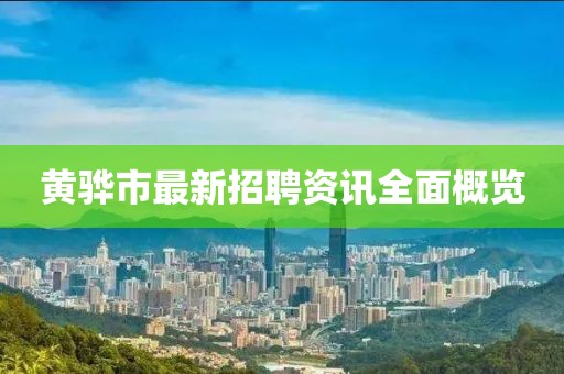 黄骅市最新招聘资讯全面概览
