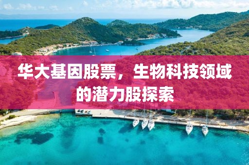 华大基因股票，生物科技领域的潜力股探索