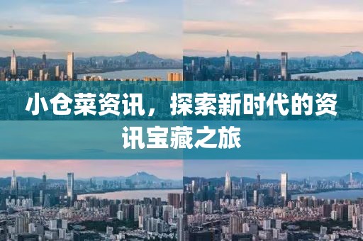 小仓菜资讯，探索新时代的资讯宝藏之旅
