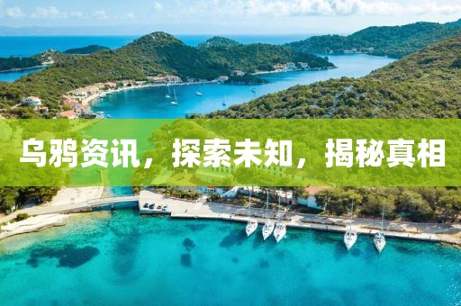 乌鸦资讯，探索未知，揭秘真相