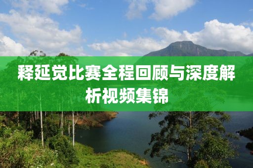 释延觉比赛全程回顾与深度解析视频集锦