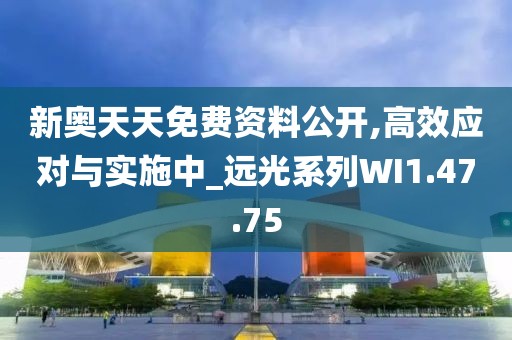 新奥天天免费资料公开,高效应对与实施中_远光系列WI1.47.75