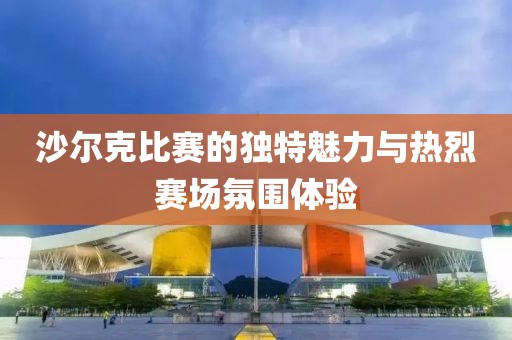 沙尔克比赛的独特魅力与热烈赛场氛围体验
