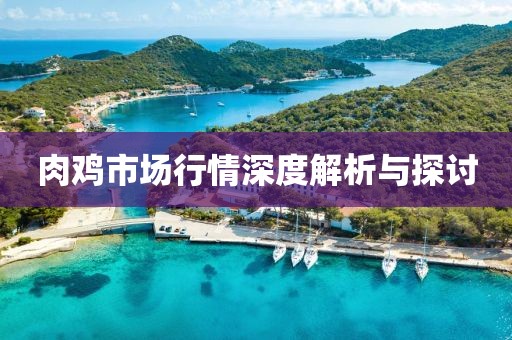 肉鸡市场行情深度解析与探讨