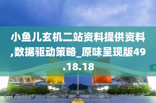 小鱼儿玄机二站资料提供资料,数据驱动策略_原味呈现版49.18.18