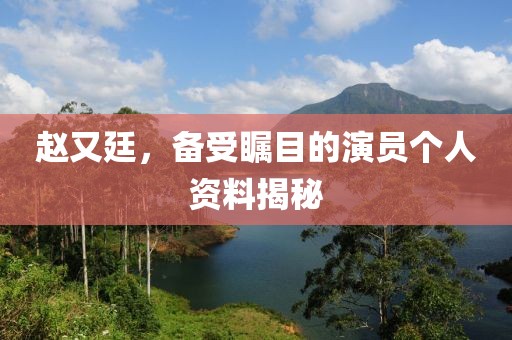 赵又廷，备受瞩目的演员个人资料揭秘