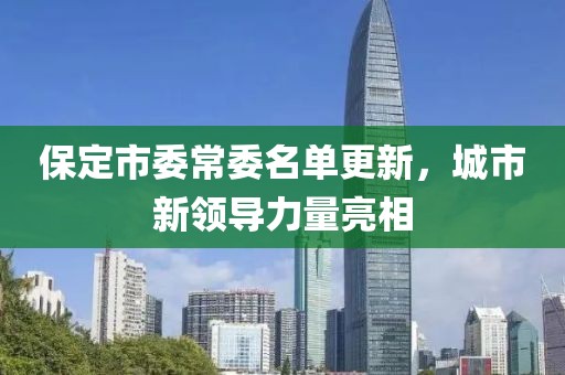 保定市委常委名单更新，城市新领导力量亮相