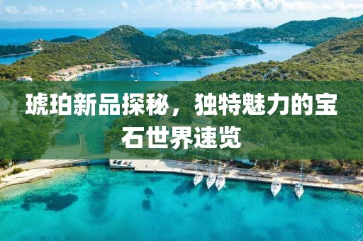 琥珀新品探秘，独特魅力的宝石世界速览