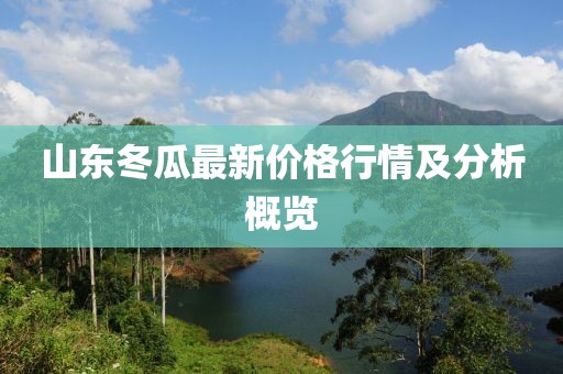 山东冬瓜最新价格行情及分析概览