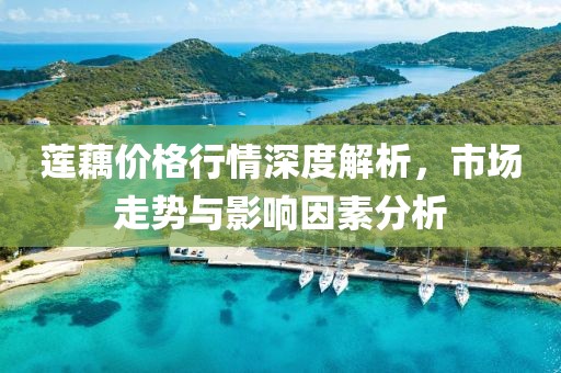 莲藕价格行情深度解析，市场走势与影响因素分析