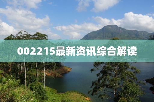 002215最新资讯综合解读