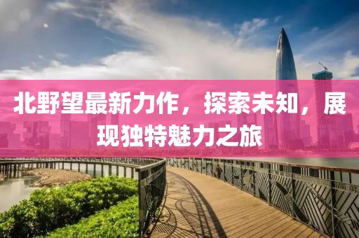 北野望最新力作，探索未知，展现独特魅力之旅