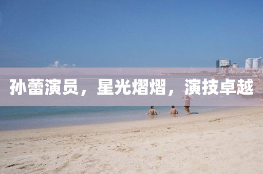 孙蕾演员，星光熠熠，演技卓越