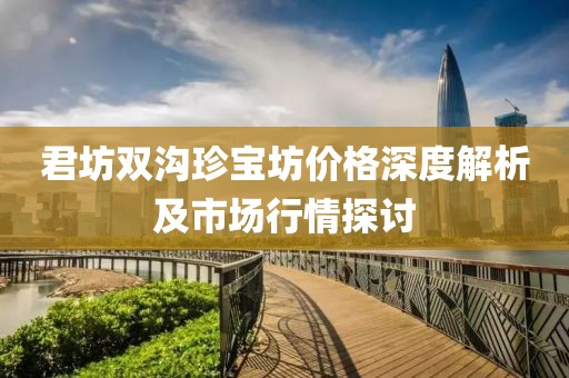 君坊双沟珍宝坊价格深度解析及市场行情探讨