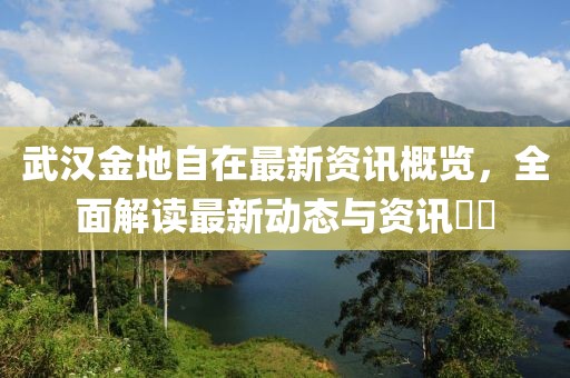 武汉金地自在最新资讯概览，全面解读最新动态与资讯​​