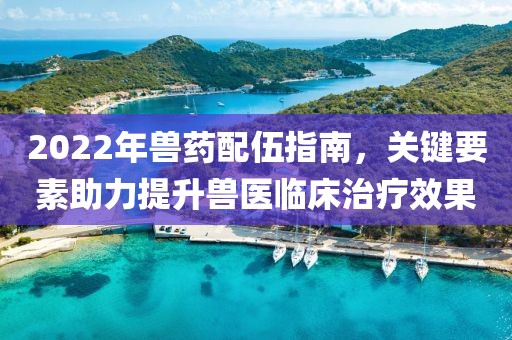 2022年兽药配伍指南，关键要素助力提升兽医临床治疗效果