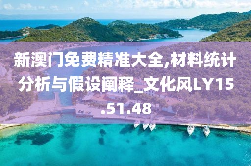 新澳门免费精准大全,材料统计分析与假设阐释_文化风LY15.51.48
