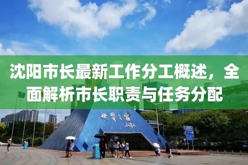 沈阳市长最新工作分工概述，全面解析市长职责与任务分配