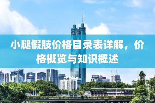 小腿假肢价格目录表详解，价格概览与知识概述