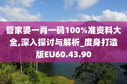 管家婆一肖一码100%准资料大全,深入探讨与解析_度身打造版EU60.43.90