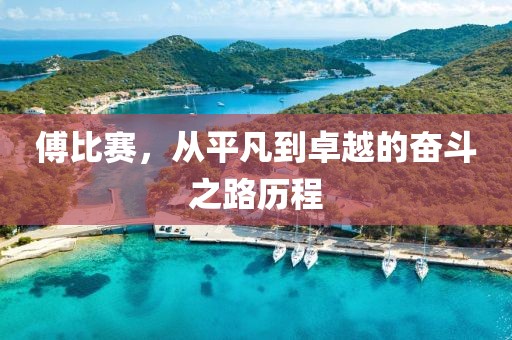 傅比赛，从平凡到卓越的奋斗之路历程