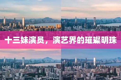 十三妹演员，演艺界的璀璨明珠