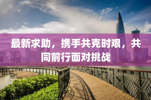 最新求助，携手共克时艰，共同前行面对挑战