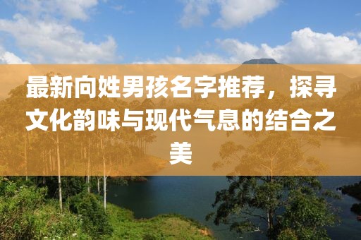 最新向姓男孩名字推荐，探寻文化韵味与现代气息的结合之美