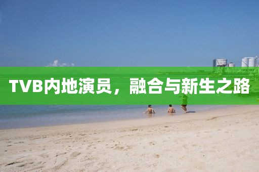 攒一口袋星星