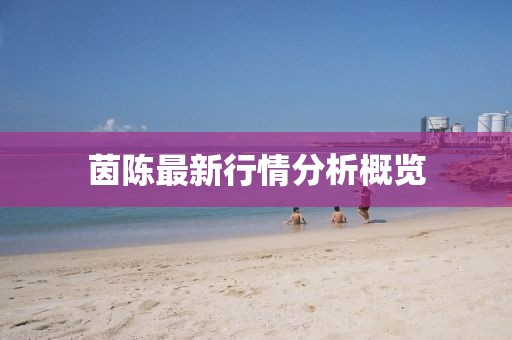 茵陈最新行情分析概览