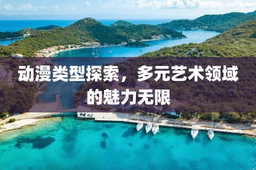 动漫类型探索，多元艺术领域的魅力无限