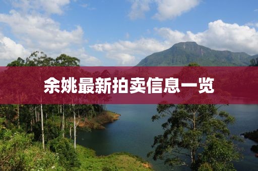 余姚最新拍卖信息一览