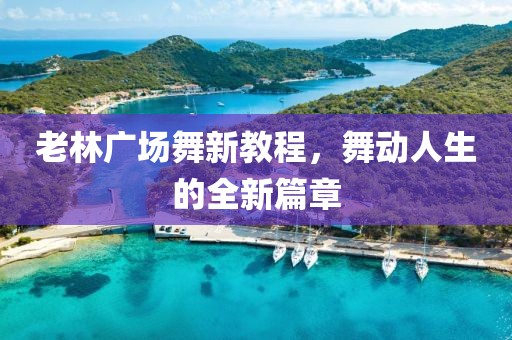 老林广场舞新教程，舞动人生的全新篇章
