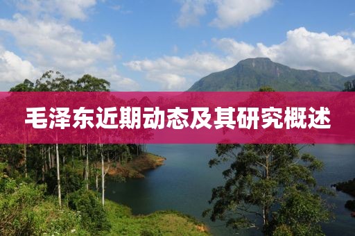 毛泽东近期动态及其研究概述