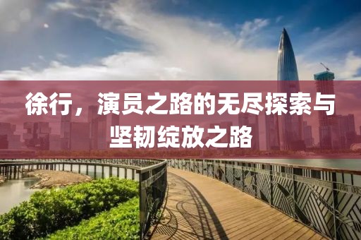徐行，演员之路的无尽探索与坚韧绽放之路
