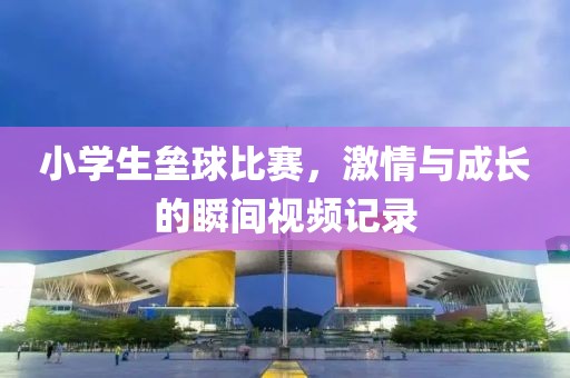 小学生垒球比赛，激情与成长的瞬间视频记录