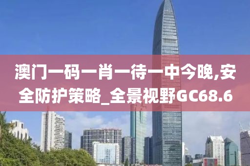 澳门一码一肖一待一中今晚,安全防护策略_全景视野GC68.6
