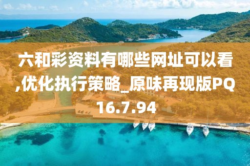 六和彩资料有哪些网址可以看,优化执行策略_原味再现版PQ16.7.94