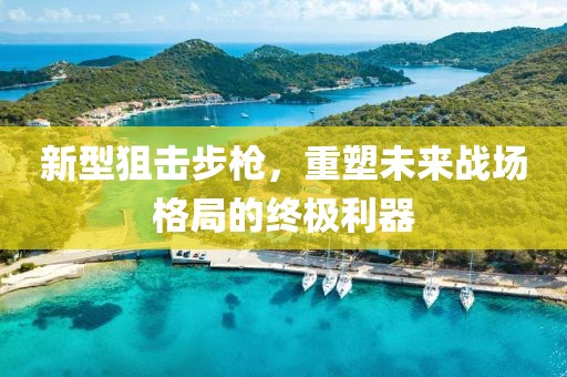 新型狙击步枪，重塑未来战场格局的终极利器