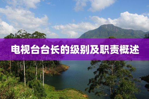 电视台台长的级别及职责概述