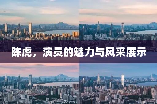 陈虎，演员的魅力与风采展示