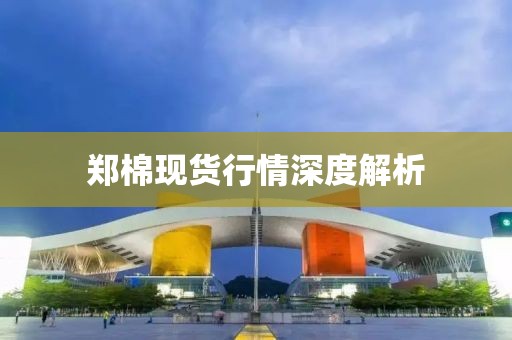 郑棉现货行情深度解析