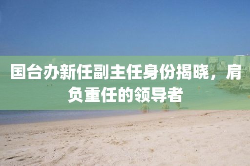 国台办新任副主任身份揭晓，肩负重任的领导者