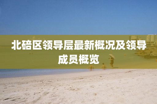 北碚区领导层最新概况及领导成员概览