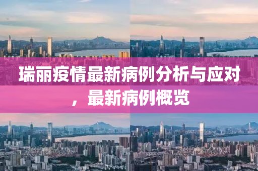 瑞丽疫情最新病例分析与应对，最新病例概览